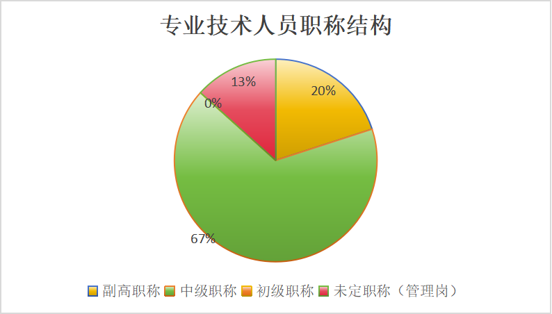 专业技术人员职称结构